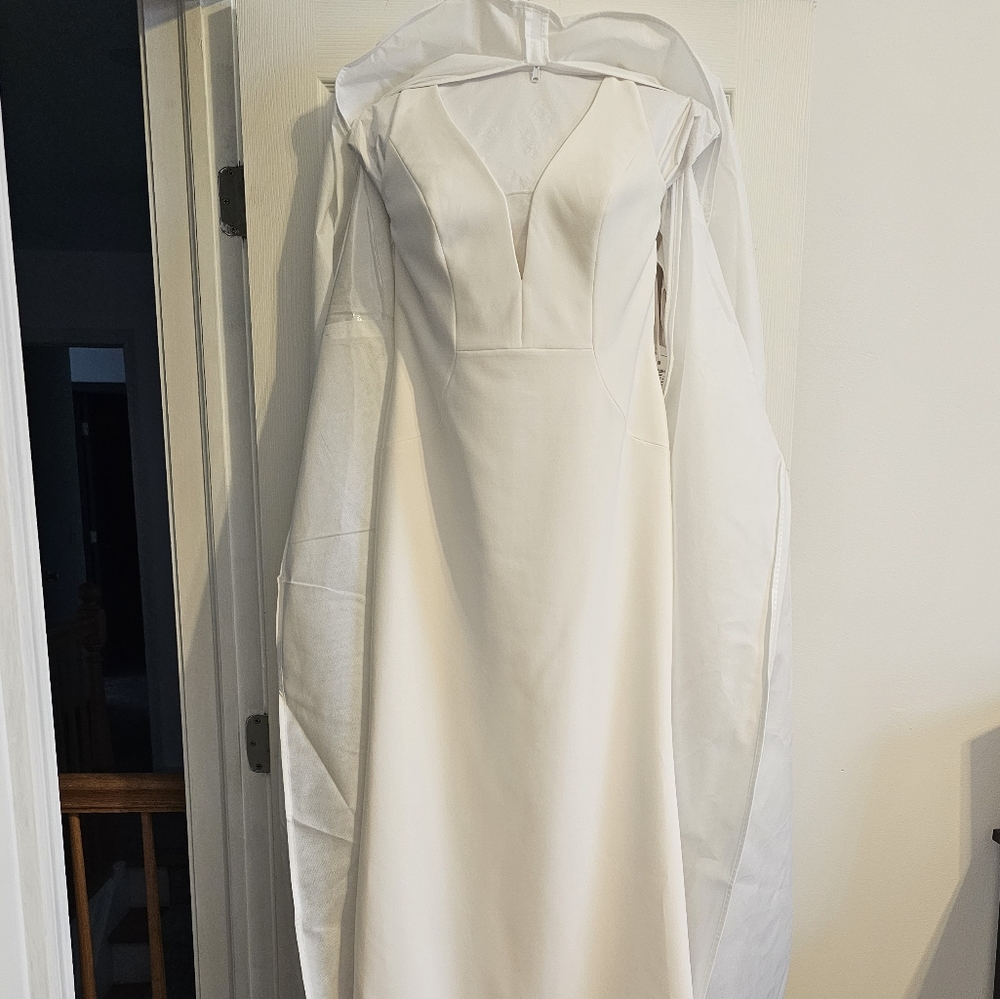 Pronovias Bridal Gown NWT Ivory Eureka